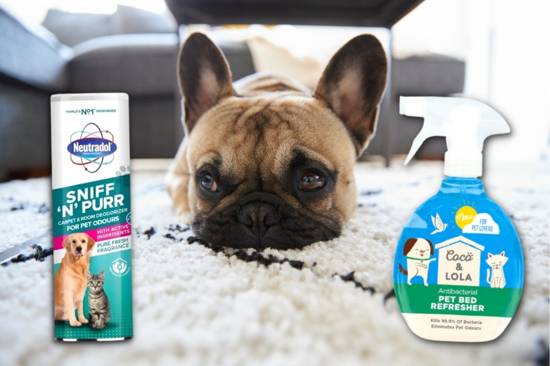 pet-friendly carpet deodoriser