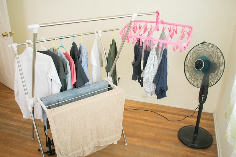 Electric fan and laundry