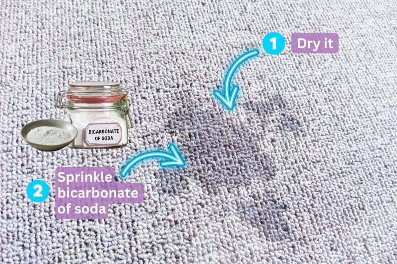 How to Get Rid of a Stagnant Water Smell from Carpet