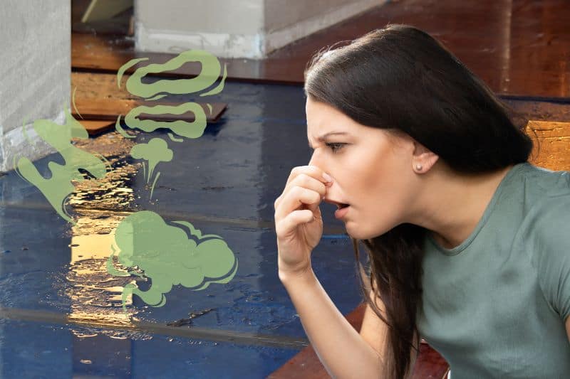 How to Get Rid of the Smell of Stagnant Water