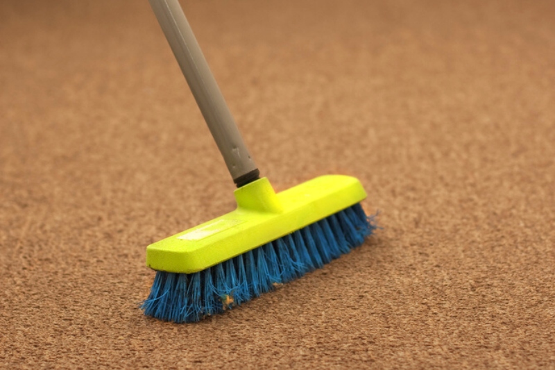 carpet brush