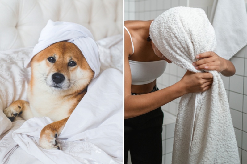 dog and human towels