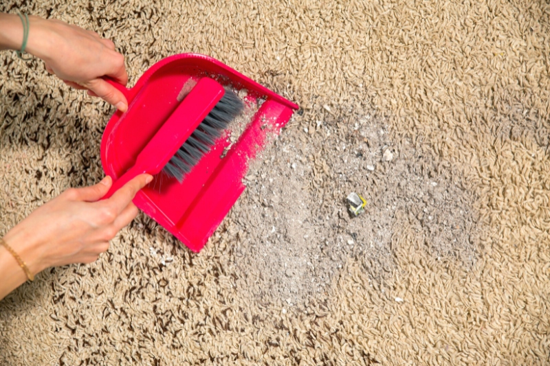 Is It Better to Sweep or Vacuum Carpets?