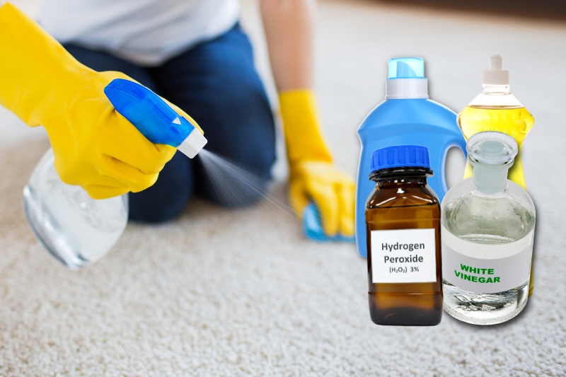 DIY Carpet Deep Cleaner