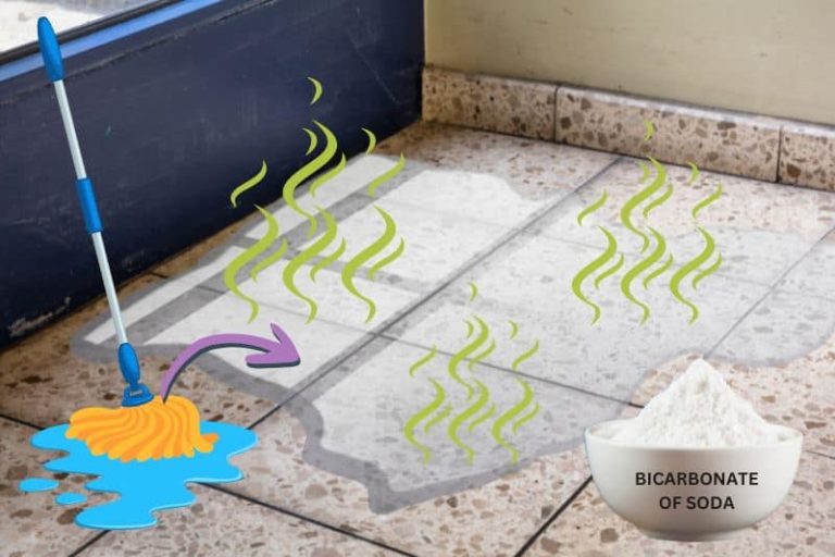 How to Get Rid of the Smell of Stagnant Water