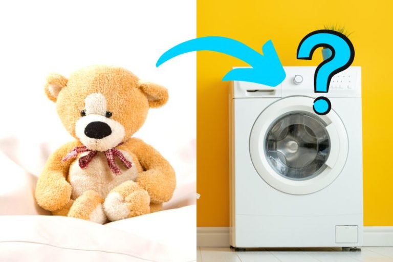 can-you-put-teddy-bears-in-the-washing-machine