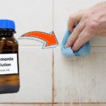 ammonia for removing mould