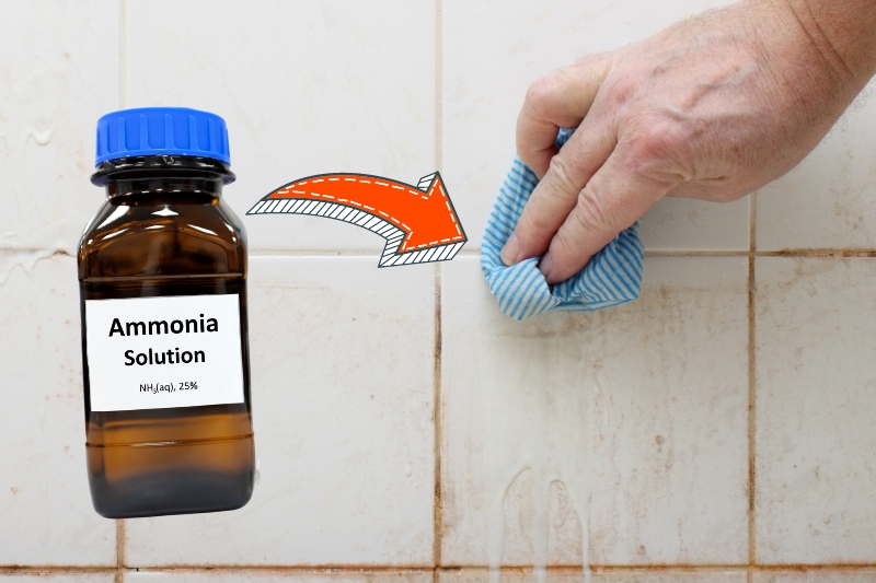 ammonia for removing mould