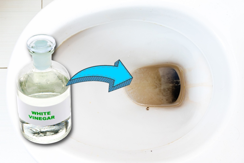 clean toilet bowl with white vinegar