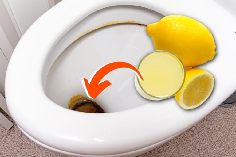 How to Get Brown Stains Off the Bottom of the Toilet Bowl