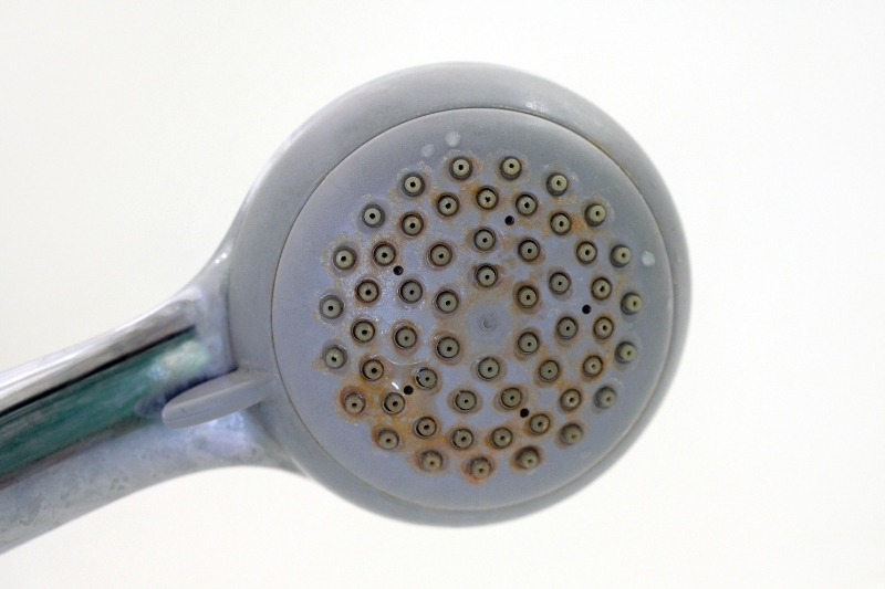 dirty shower head