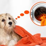 how to wash dog towels