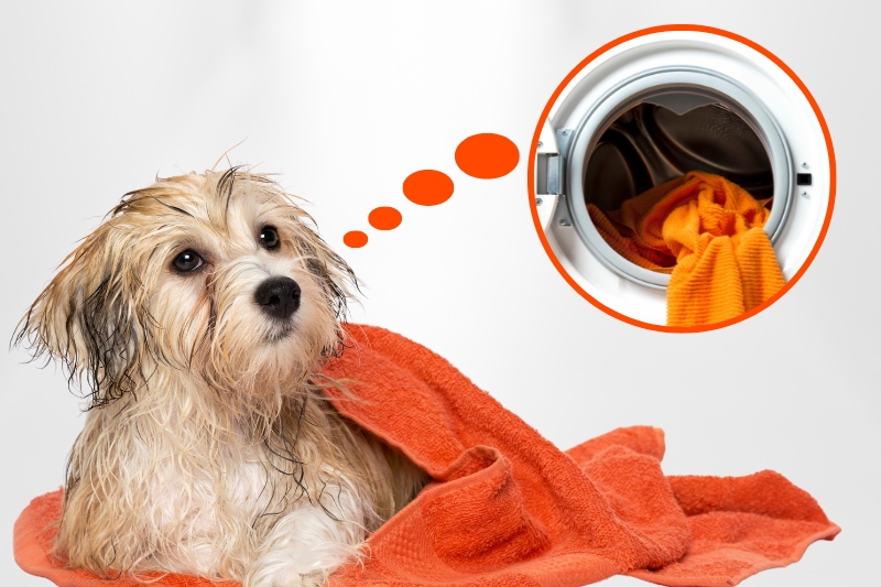 how to wash dog towels