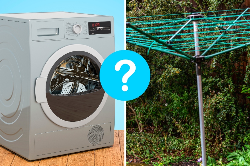 tumble dryer and rotary dryer