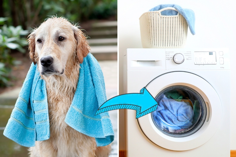 wash dog towel in the washing machine