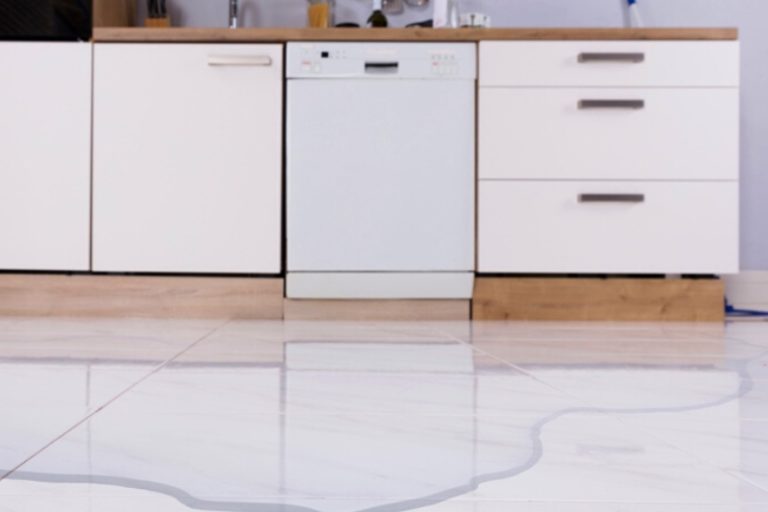 Dishwasher Leaking Around the Door Causes and Solutions