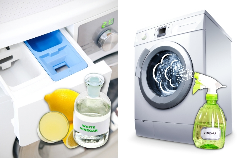 white vinegar or lemon juice for limescale removal