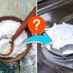 Normal Salt in a Dishwasher