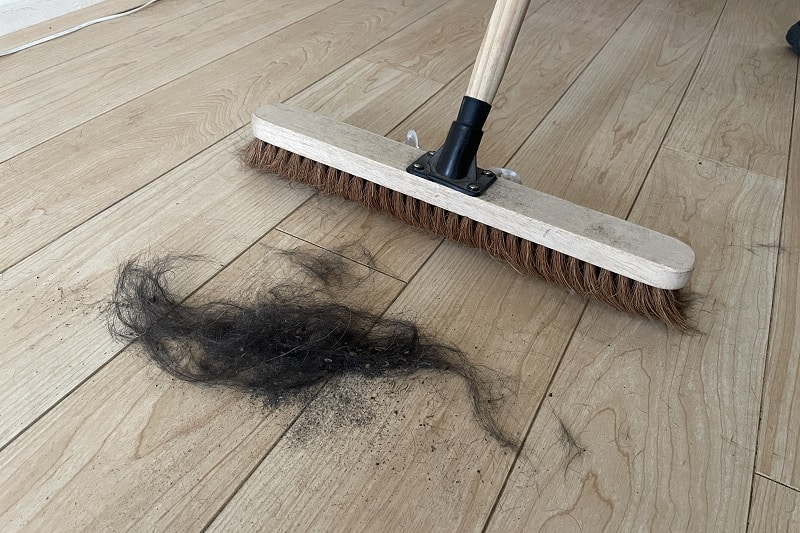 Sweeping hair on a laminate floor