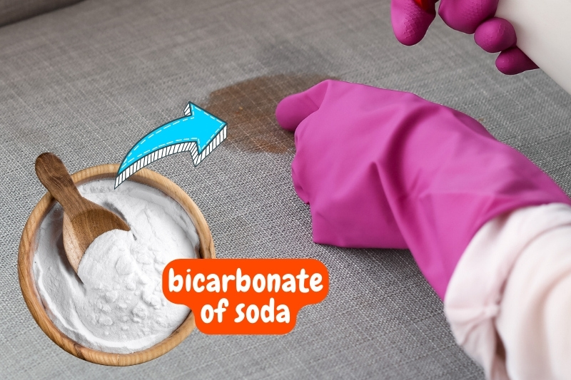 bicarbonate of soda for sofa stain