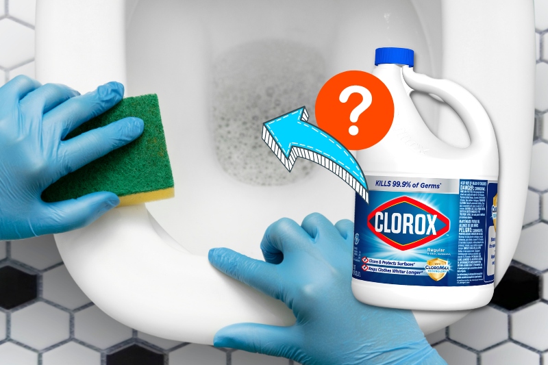 bleach in toilet