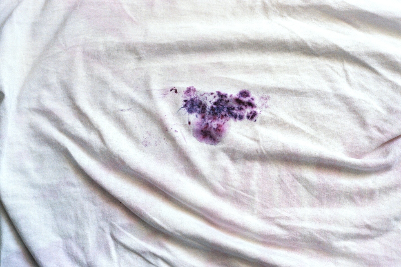 blueberry stain on shirt