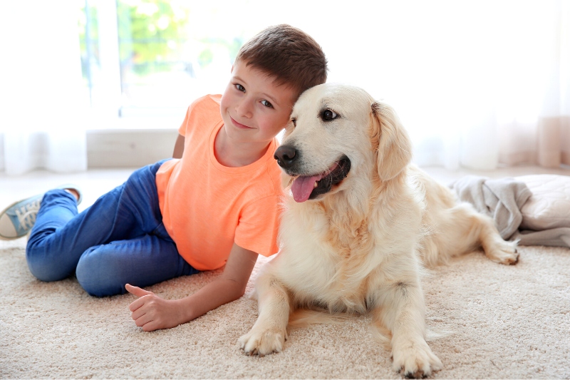 kid and dog on the carpet