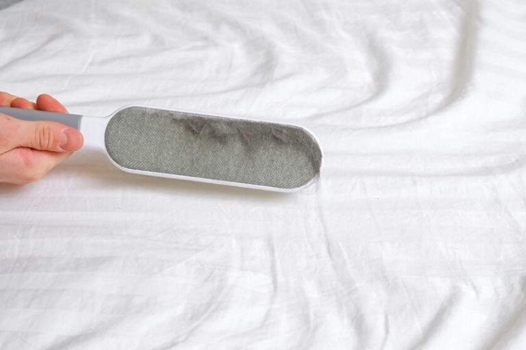 Do Lint Brushes Work?