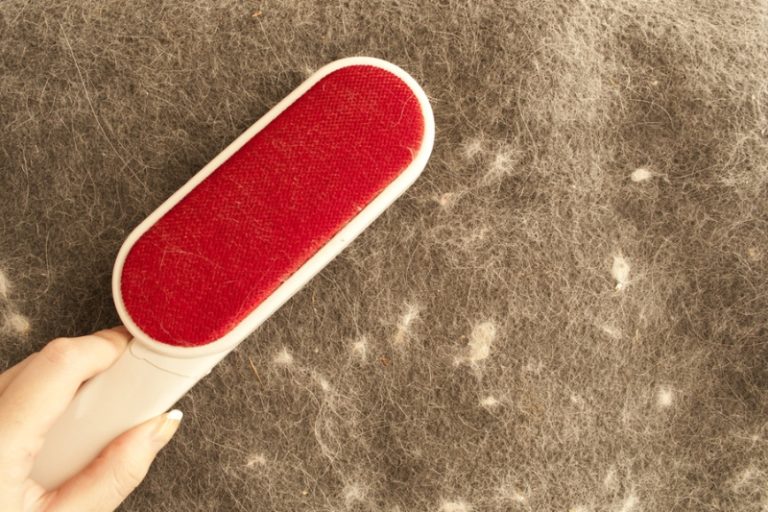 Do Lint Brushes Work?