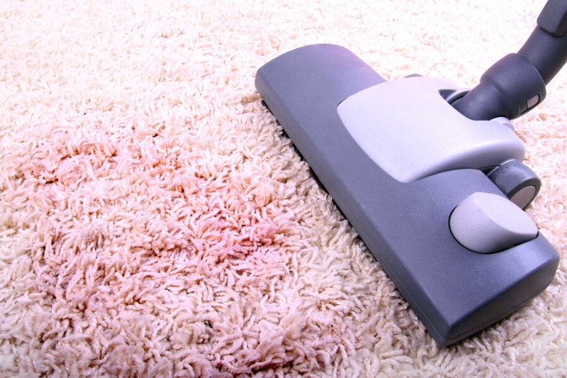 vacuum carpet stain
