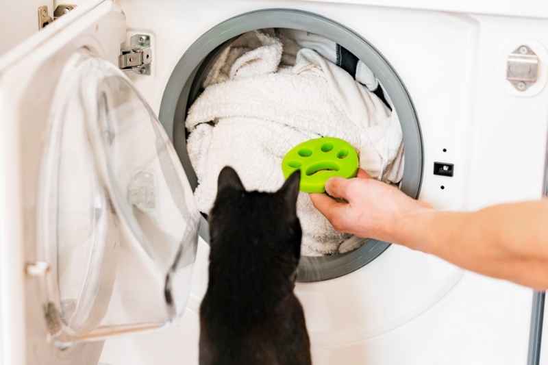 washing machine with pet hair remover and black cat