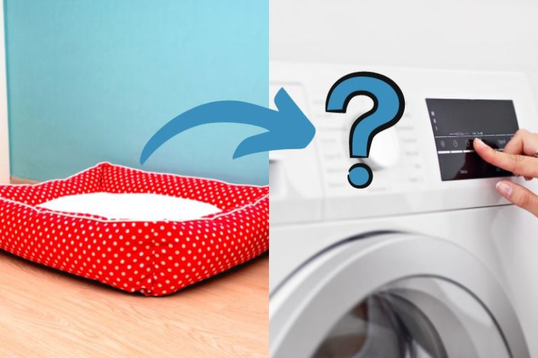 Can You Put Dog Beds in the Washing Machine?