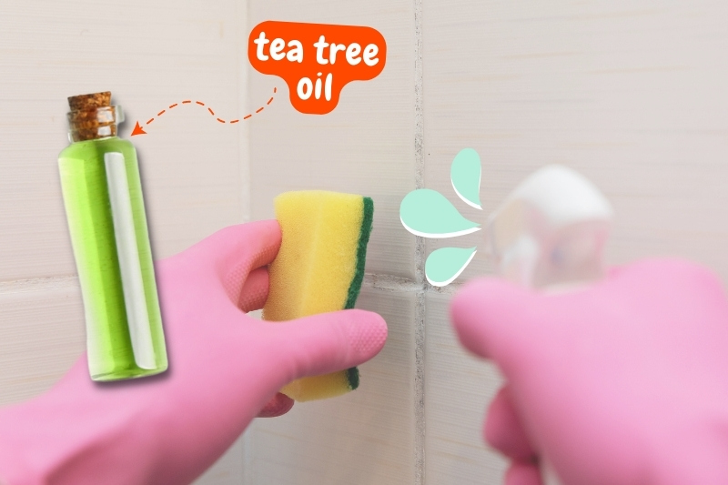 clean bathroom tiles with tea tree oil