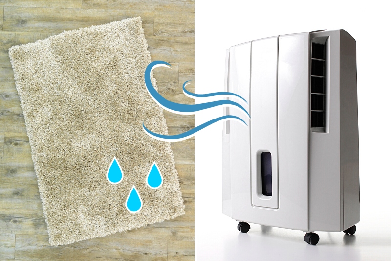 drying rug with dehumidifier