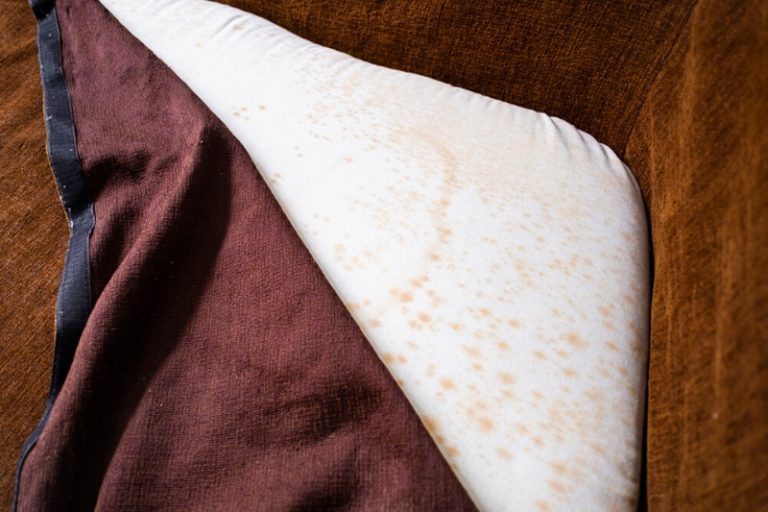 Why Does My Sofa Smell After Being Cleaned?
