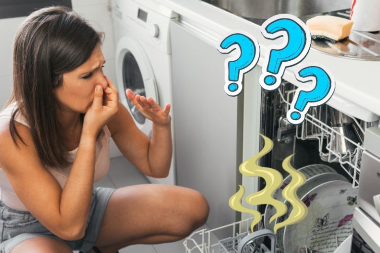 Dishwasher Is Making Dishes Smelly or Dirty Causes and Solutions