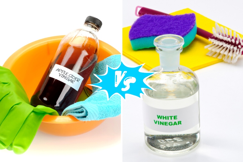 Cleaning with Apple Cider Vinegar vs White Vinegar