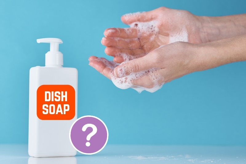 Dish Soap to Wash Your Hands