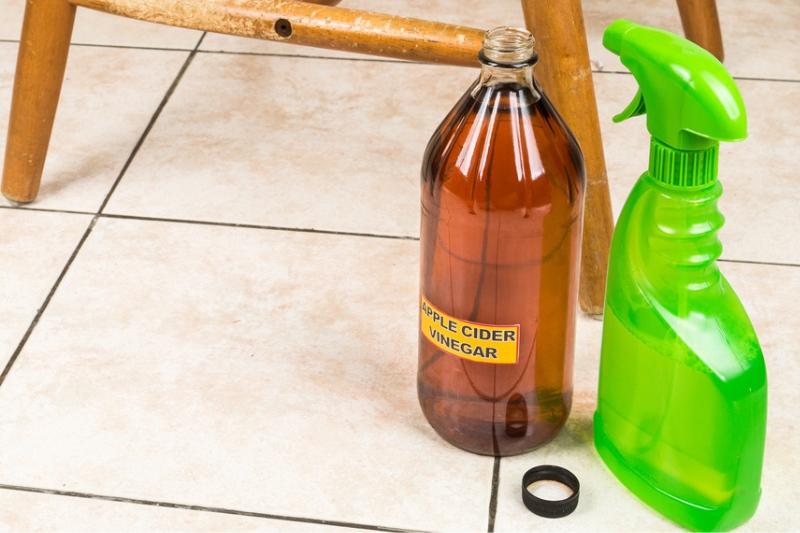 apple cider vinegar and spray bottle on the floor