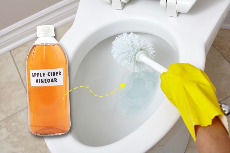 apple cider vinegar as toilet cleaner