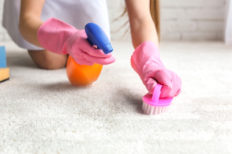 clean carpet stains with apple cider vinegar