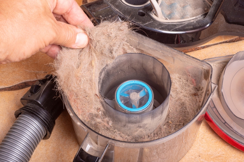 dog hair collected by vacuum