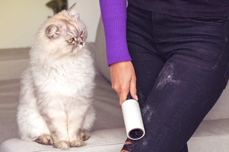lint roller for pet hair removal
