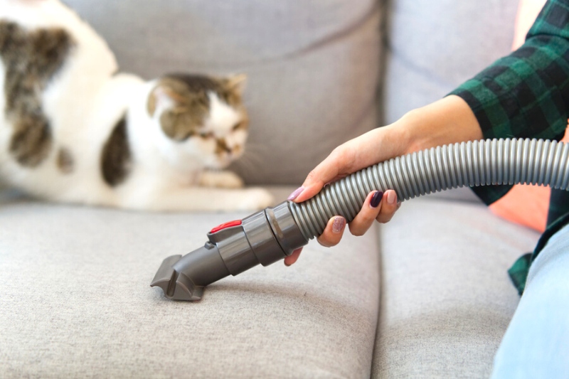 remove pet hair with vacuum