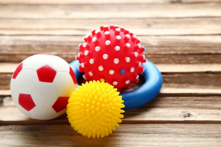 How to Wash Dog Toys