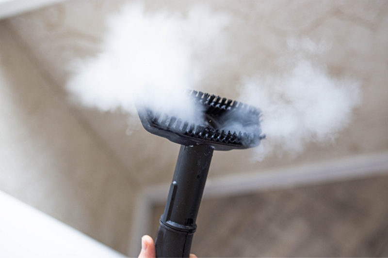 steam cleaning brush
