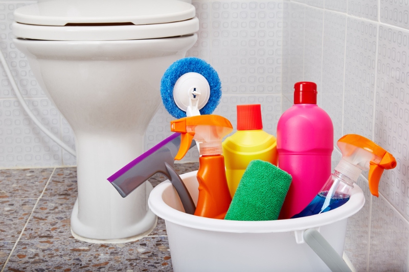 toilet cleaning materials