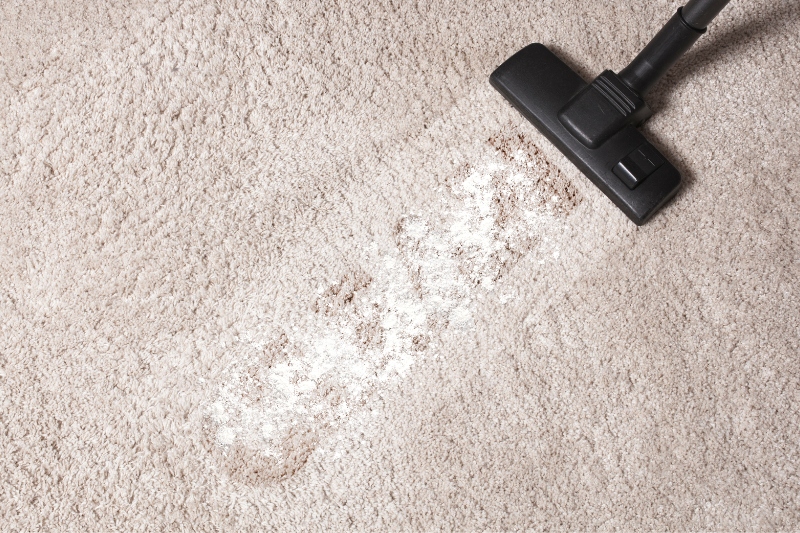 vacuum carpet