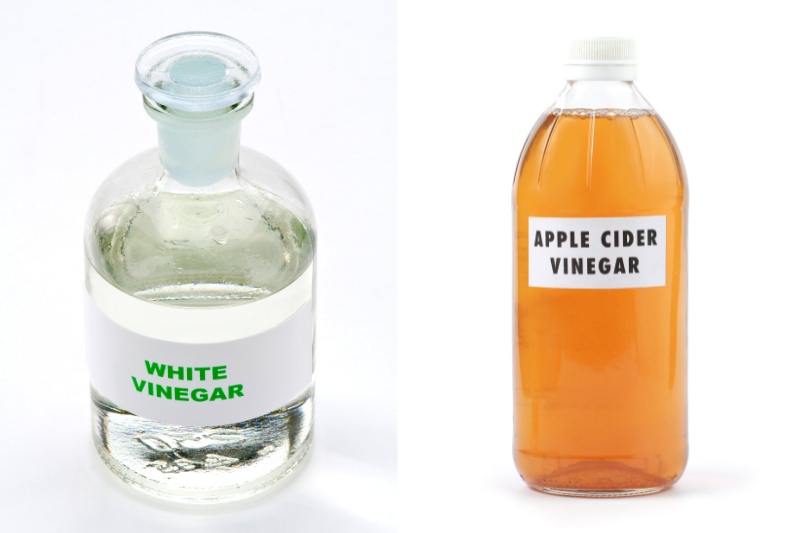 white vinegar and apple cider vinegar