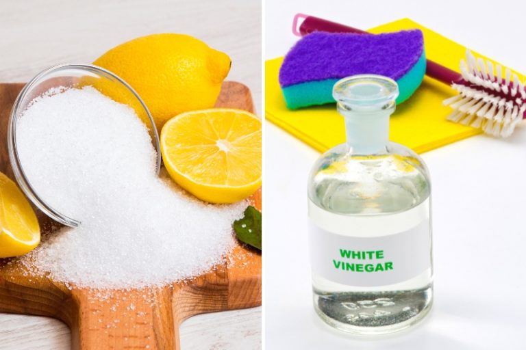 Citric Acid vs. Vinegar for Cleaning